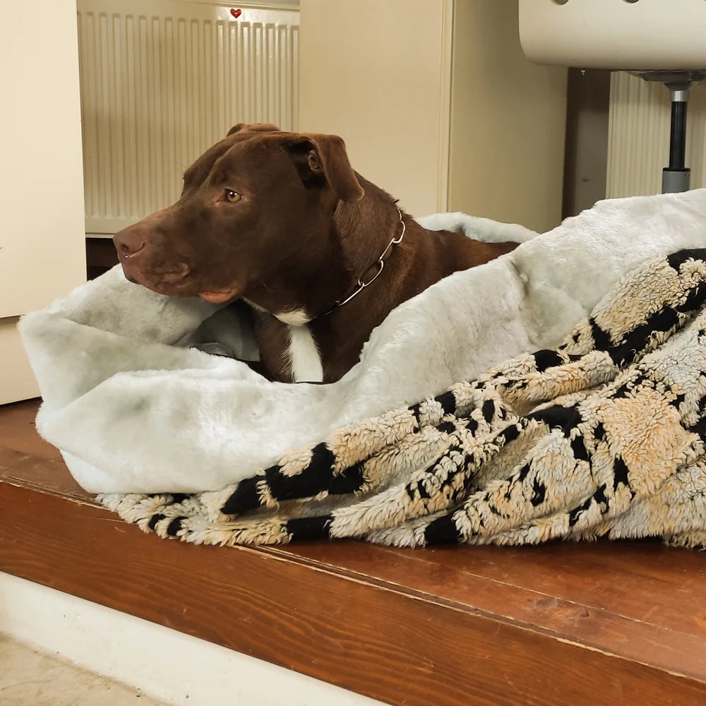 cozy-cave-dog-bed_1.jpg