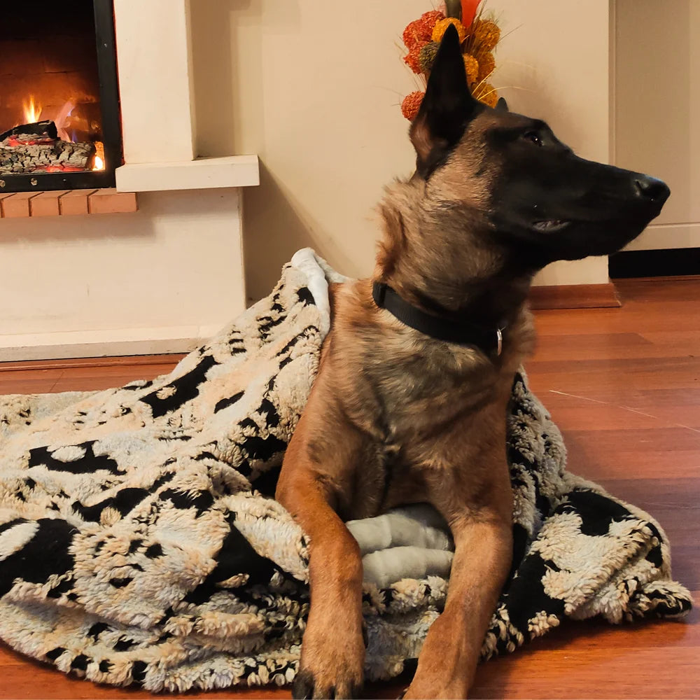 cozy-cave-dog-bed_5_4e305323-62af-4407-85cb-2eaadc6e86d9.jpg